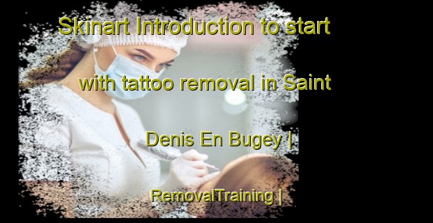 Skinart Introduction to start with tattoo removal in Saint Denis En Bugey | RemovalTraining | RemovalClasses | SkinartTraining-France